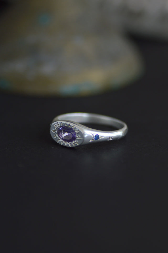 Penny Amethyst Silver Ring