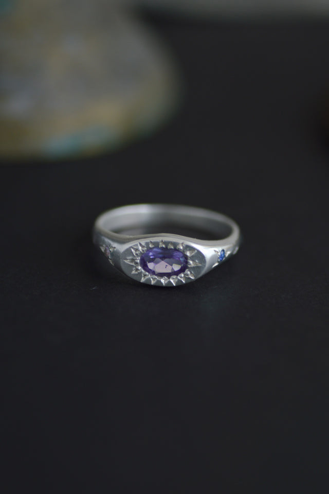 Penny Amethyst Silver Ring