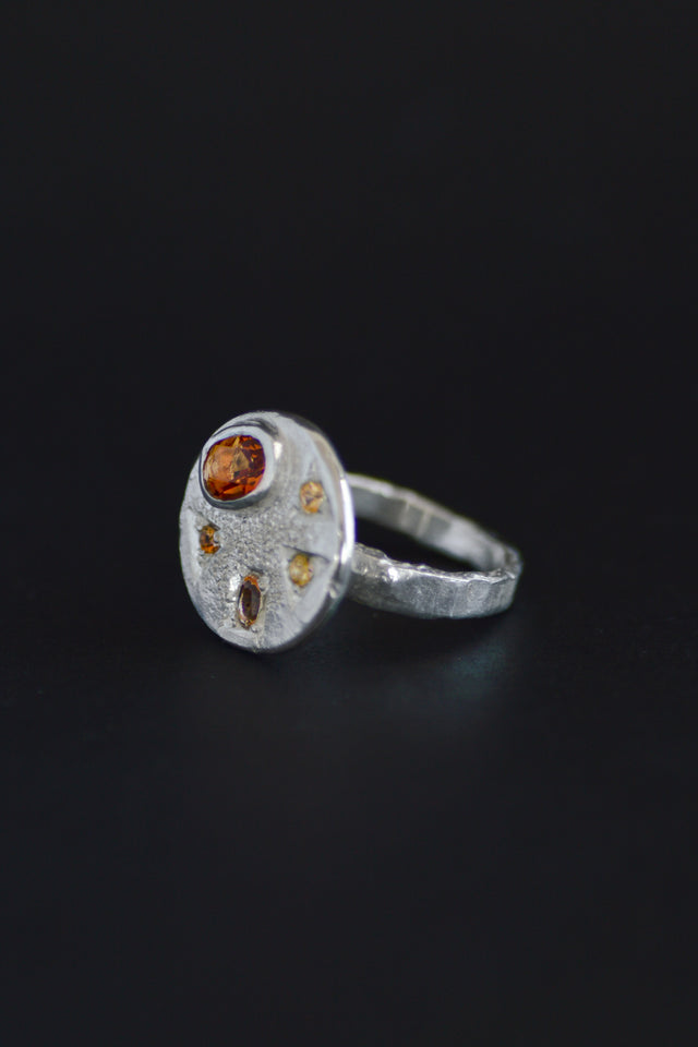 Palette Citrine & Sapphire Silver RIng 1282-3