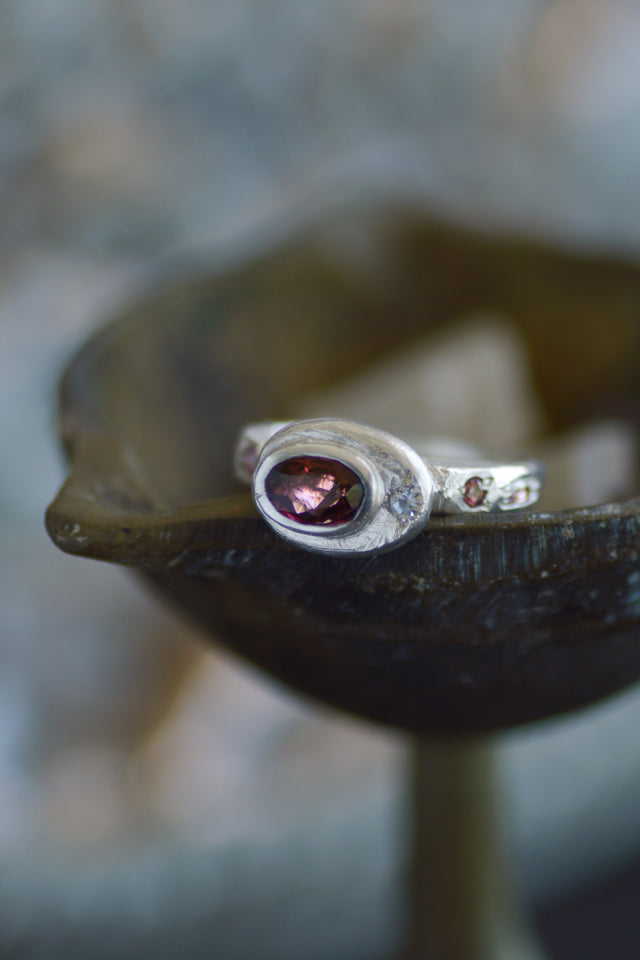 Poet Garnet, Sapphire & Tourmaline Ring 1080-2