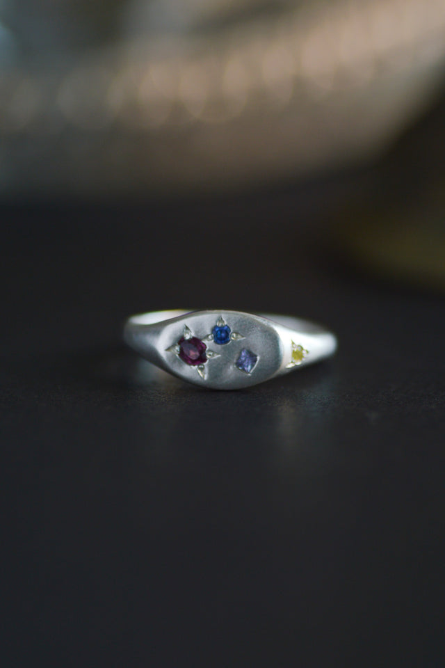 Pickles Tourmaline & Tanzanite Silver Signet 1145-5