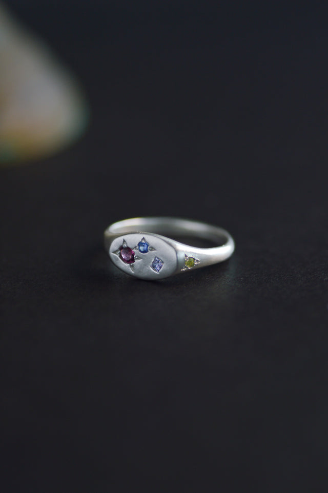 Pickles Tourmaline & Tanzanite Silver Signet 1145-5